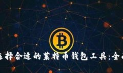 如何选择合适的莱特币钱包工具：全面指南