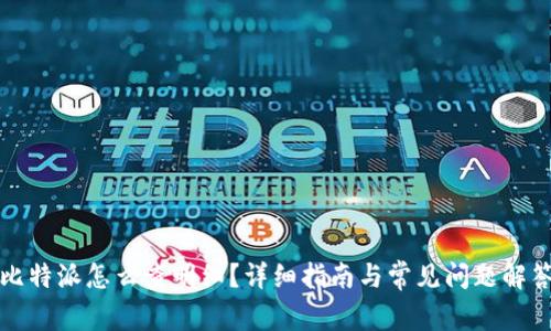 比特派怎么查明细？详细指南与常见问题解答