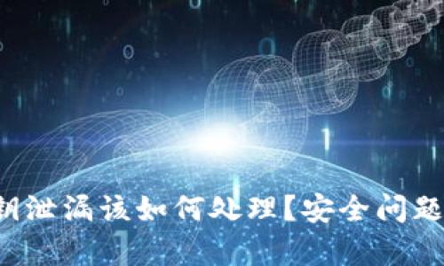: 遇到B特派密钥泄漏该如何处理？安全问题及解决方案解析