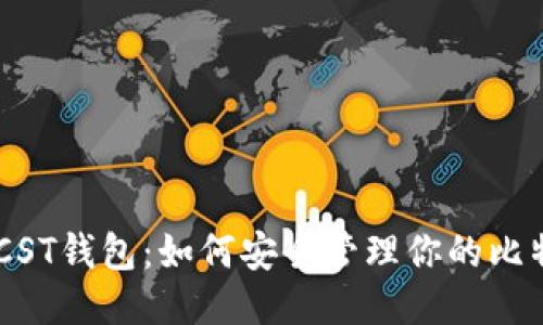 BTCST钱包：如何安全管理你的比特币
