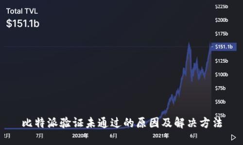 比特派验证未通过的原因及解决方法