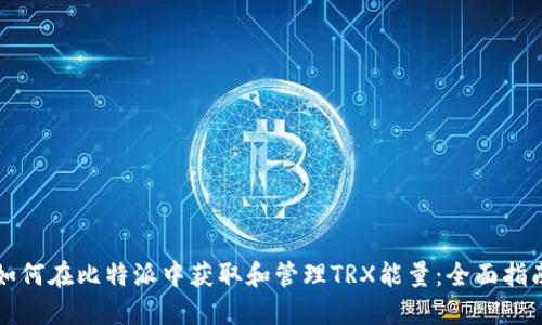如何在比特派中获取和管理TRX能量：全面指南