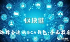 选择合适的BCH钱包：全面指南