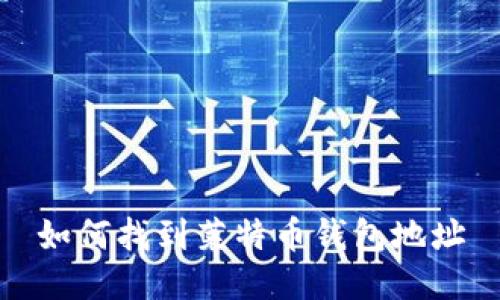 如何找到莱特币钱包地址