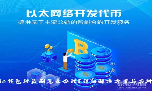 Bitpie钱包被盗刷怎么办理？详细解决方案与应对措施