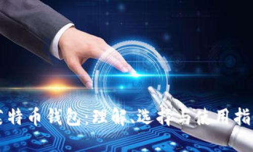 莱特币钱包：理解、选择与使用指南
