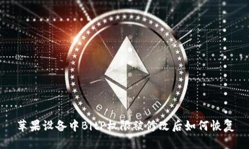 苹果设备中BitP权限被修改后如何恢复