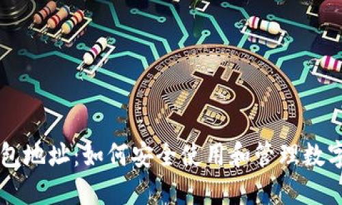 比特网钱包地址：如何安全使用和管理数字货币账户