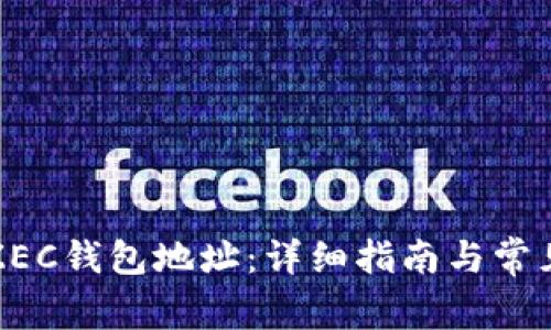 如何设置ZEC钱包地址：详细指南与常见问题解答