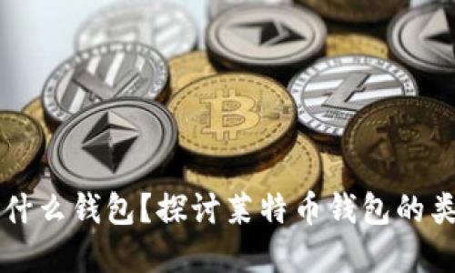 莱特币可以放什么钱包？探讨莱特币钱包的类型及选择指南
