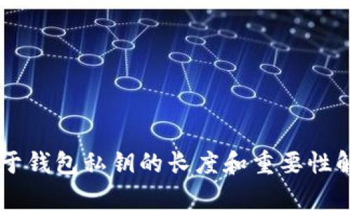 关于钱包私钥的长度和重要性解析
