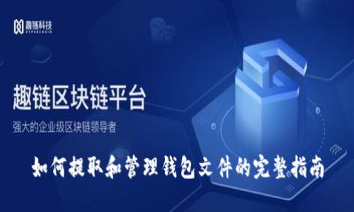 如何提取和管理钱包文件的完整指南