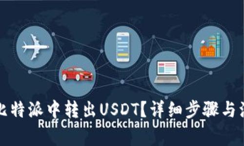 如何在比特派中转出USDT？详细步骤与注意事项