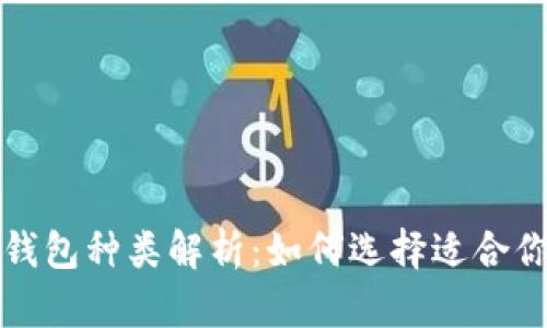 比特币冷钱包种类解析：如何选择适合你的冷钱包