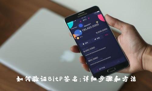 如何验证BitP签名：详细步骤和方法