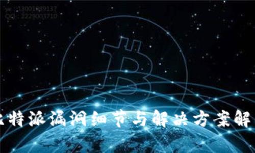 比特派漏洞细节与解决方案解析