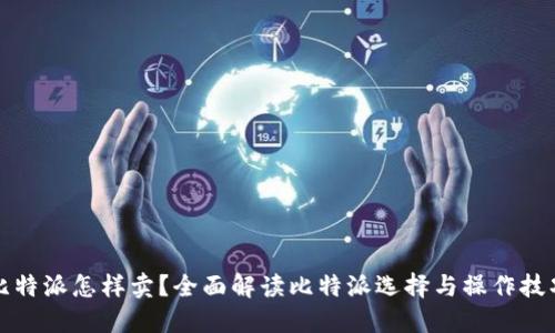 比特派怎样卖？全面解读比特派选择与操作技巧