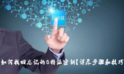 如何找回忘记的B特派密钥？详尽步骤和技巧