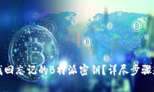 如何找回忘记的B特派密钥？详尽步骤和技巧