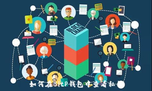  
如何在BitP钱包中查看私钥