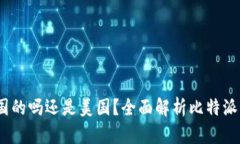 :比特派是中国的吗还是美国？全面解析比特派的