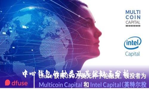 中心钱包的种类及其优缺点分析