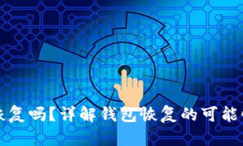 钱包能恢复吗？详解钱包恢复的可能性与方法