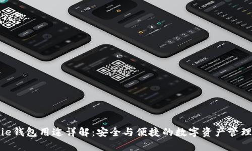 Bitpie钱包用途详解：安全与便捷的数字资产管理工具