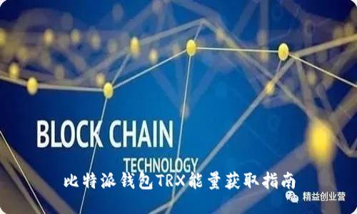 比特派钱包TRX能量获取指南