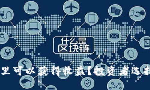 USDT放在哪里可以获得收益？投资者选择的最佳策略