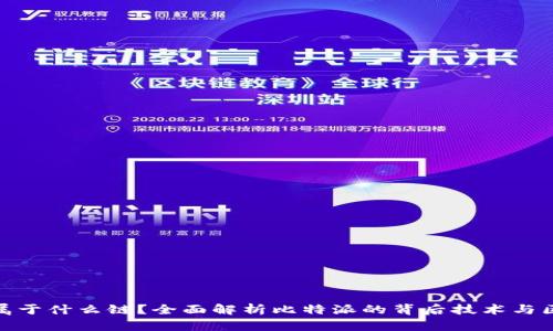 : 比特派属于什么链？全面解析比特派的背后技术与区块链架构