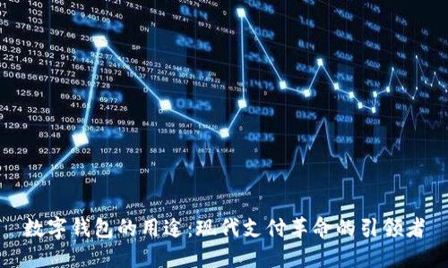 数字钱包的用途：现代支付革命的引领者
