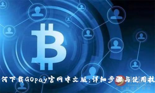 如何下载GOpay官网中文版：详细步骤与使用技巧