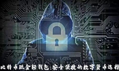 
比特币现金轻钱包：安全便捷的数字货币选择