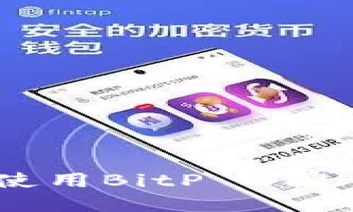 如何下载和使用BitP Wallet：完整指南