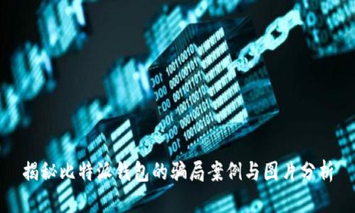 揭秘比特派钱包的骗局案例与图片分析