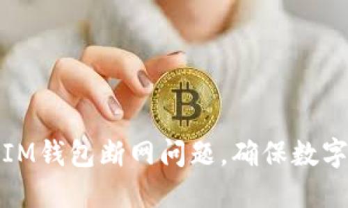 如何解决IM钱包断网问题，确保数字资产安全