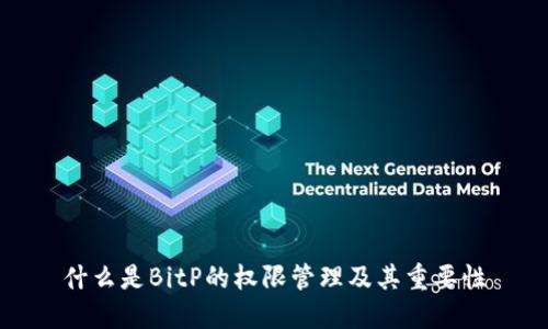 什么是BitP的权限管理及其重要性