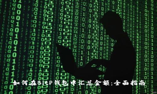 如何在BitP钱包中汇总金额：全面指南
