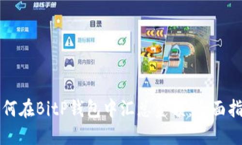 如何在BitP钱包中汇总金额：全面指南