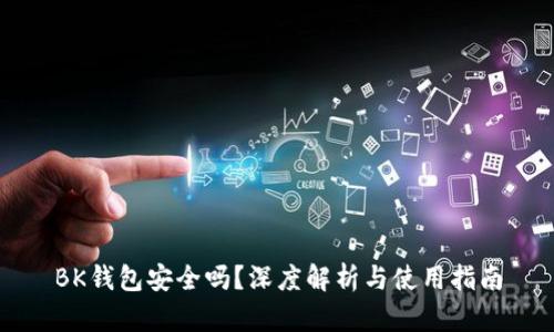 BK钱包安全吗？深度解析与使用指南