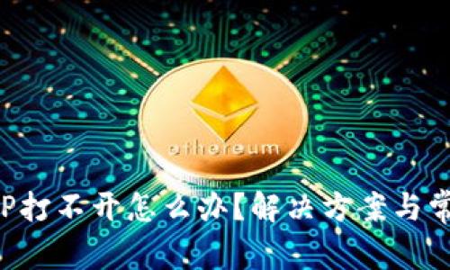 数字货币APP打不开怎么办？解决方案与常见问题解析