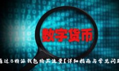 如何通过B特派钱包购买流量？详细指南与常见问