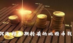 如何选择长期持有的比特币钱包？