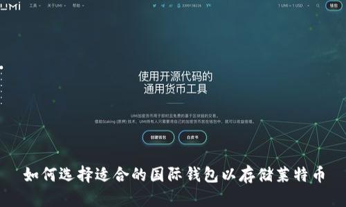 如何选择适合的国际钱包以存储莱特币