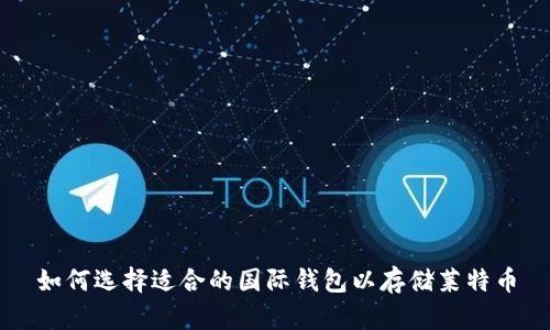 如何选择适合的国际钱包以存储莱特币