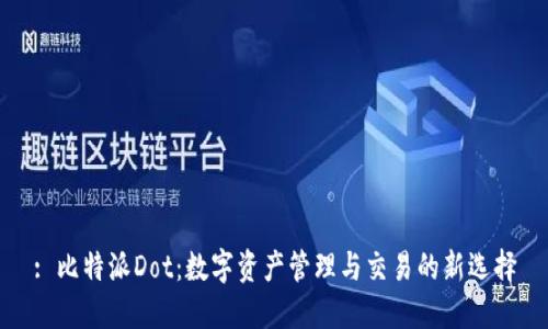 : 比特派Dot：数字资产管理与交易的新选择