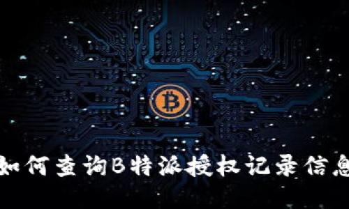 如何查询B特派授权记录信息