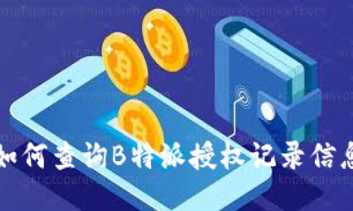如何查询B特派授权记录信息