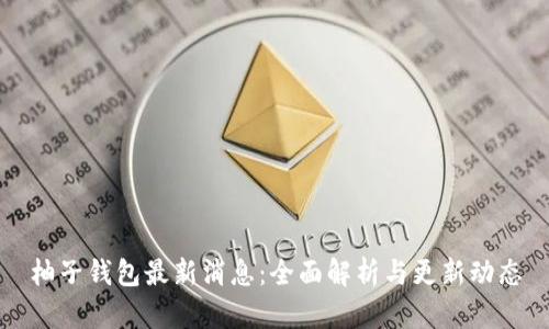 柚子钱包最新消息：全面解析与更新动态